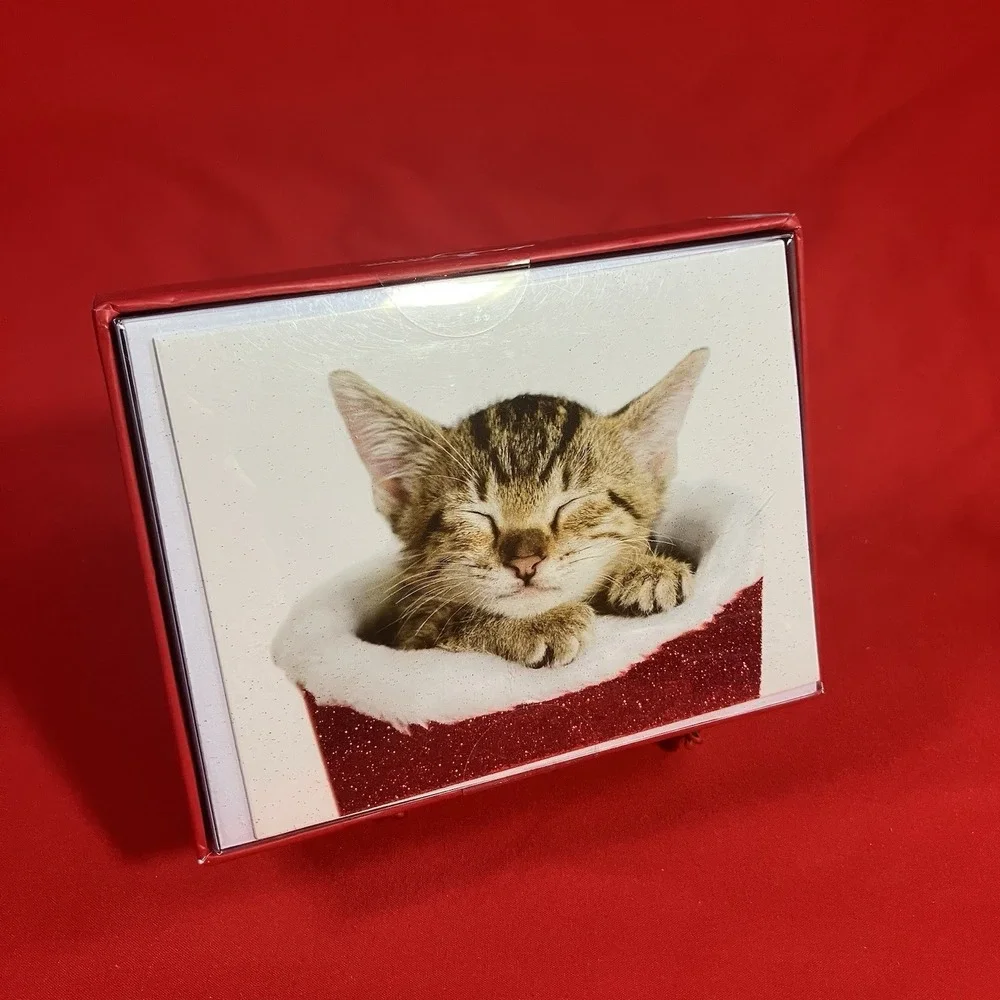 Design Christmas Cards / Kitten In Stocking / Glitter / Box of 20 / Sleeping Cat